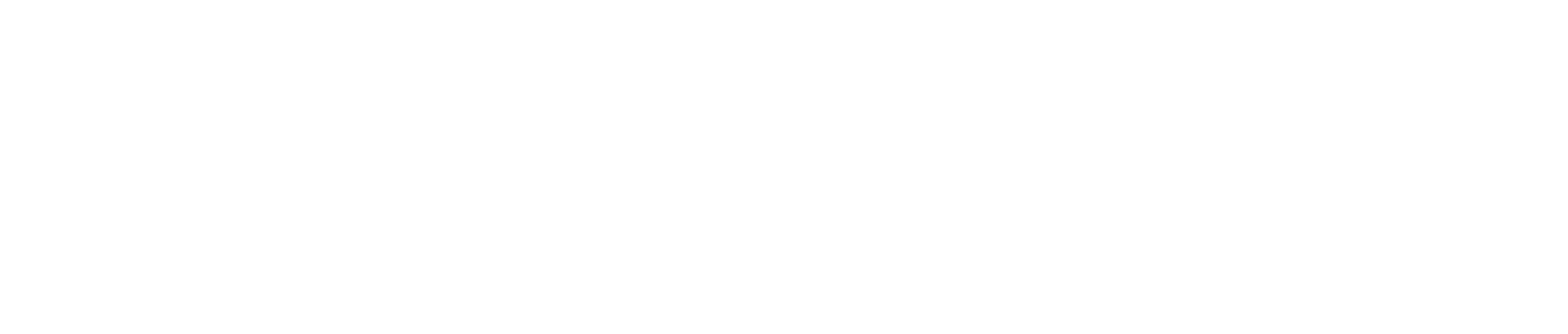 NAVVO Logo
