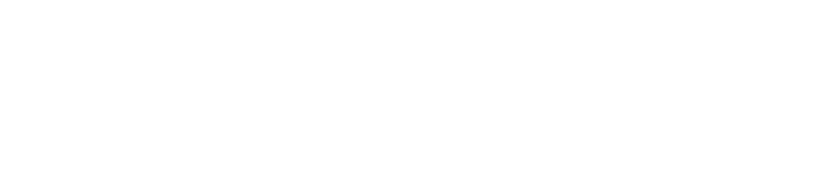 NAVVO Logo
